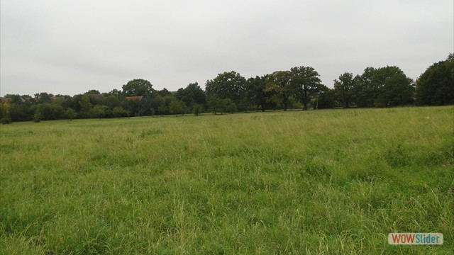 Bild04