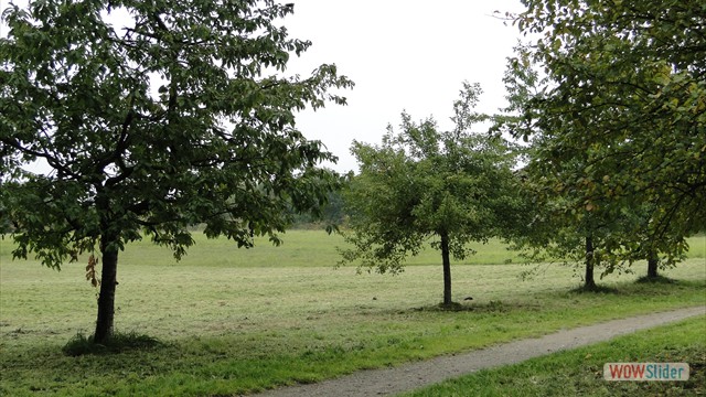 Bild15