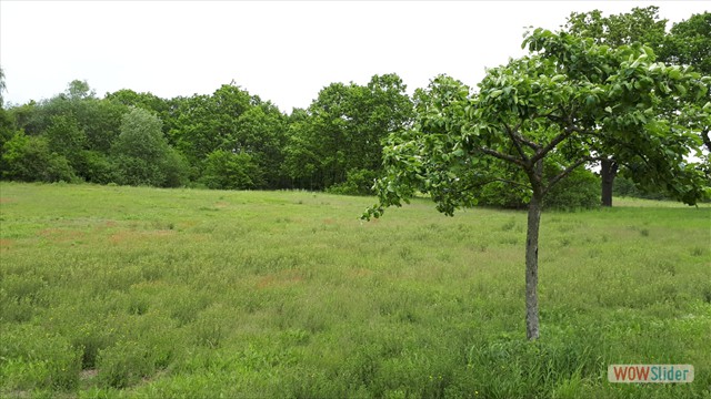 Bild44