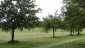 Bild15